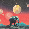 Elephant Riders